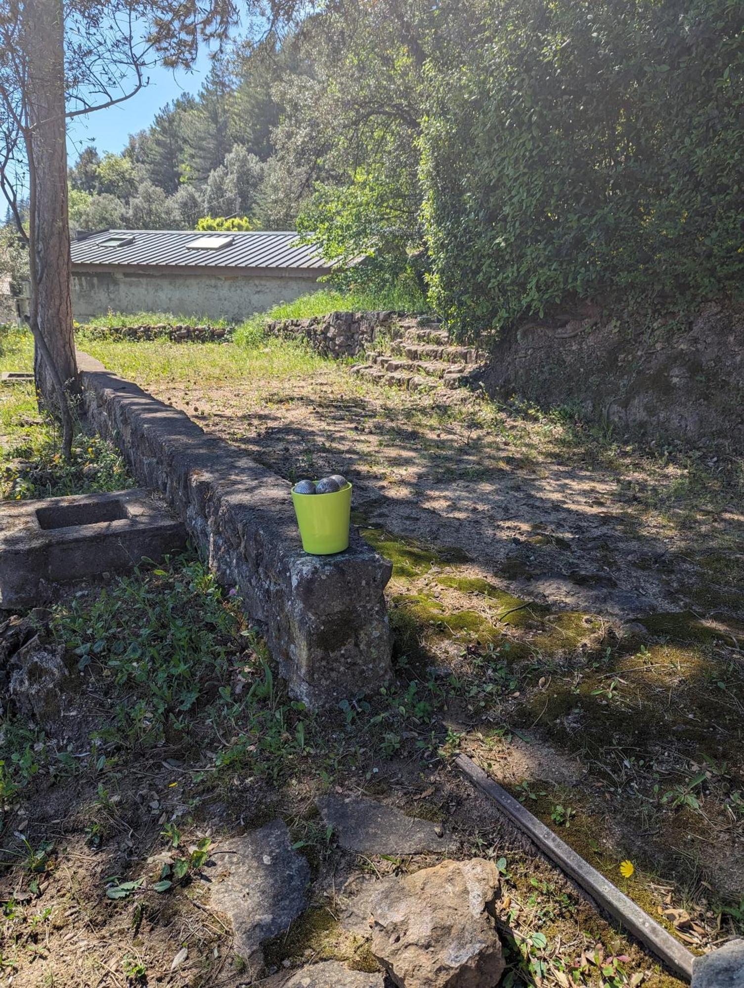 Auberge Des Pins Обена Екстер'єр фото
